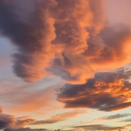 Cathymini A * 塞特港