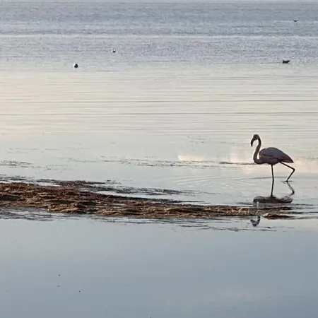 Cathymini A דירה Sète